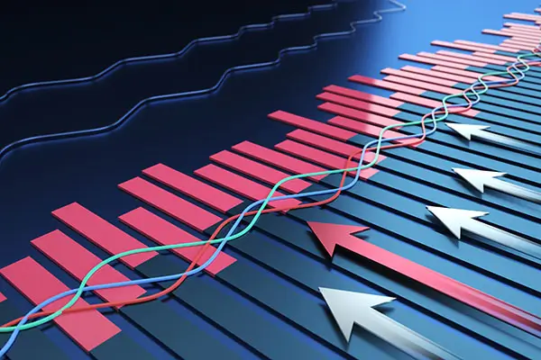 假大米做法美食推荐